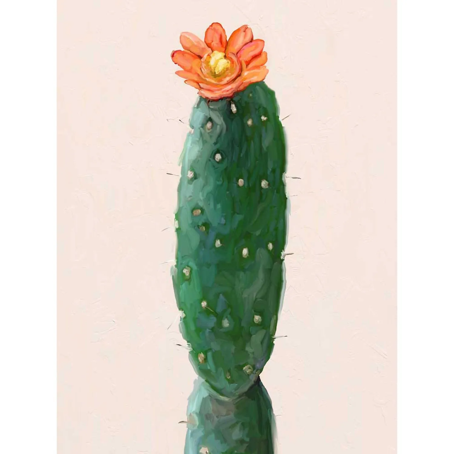 Cactus Garden - Tangerine Flower Canvas Wall Art