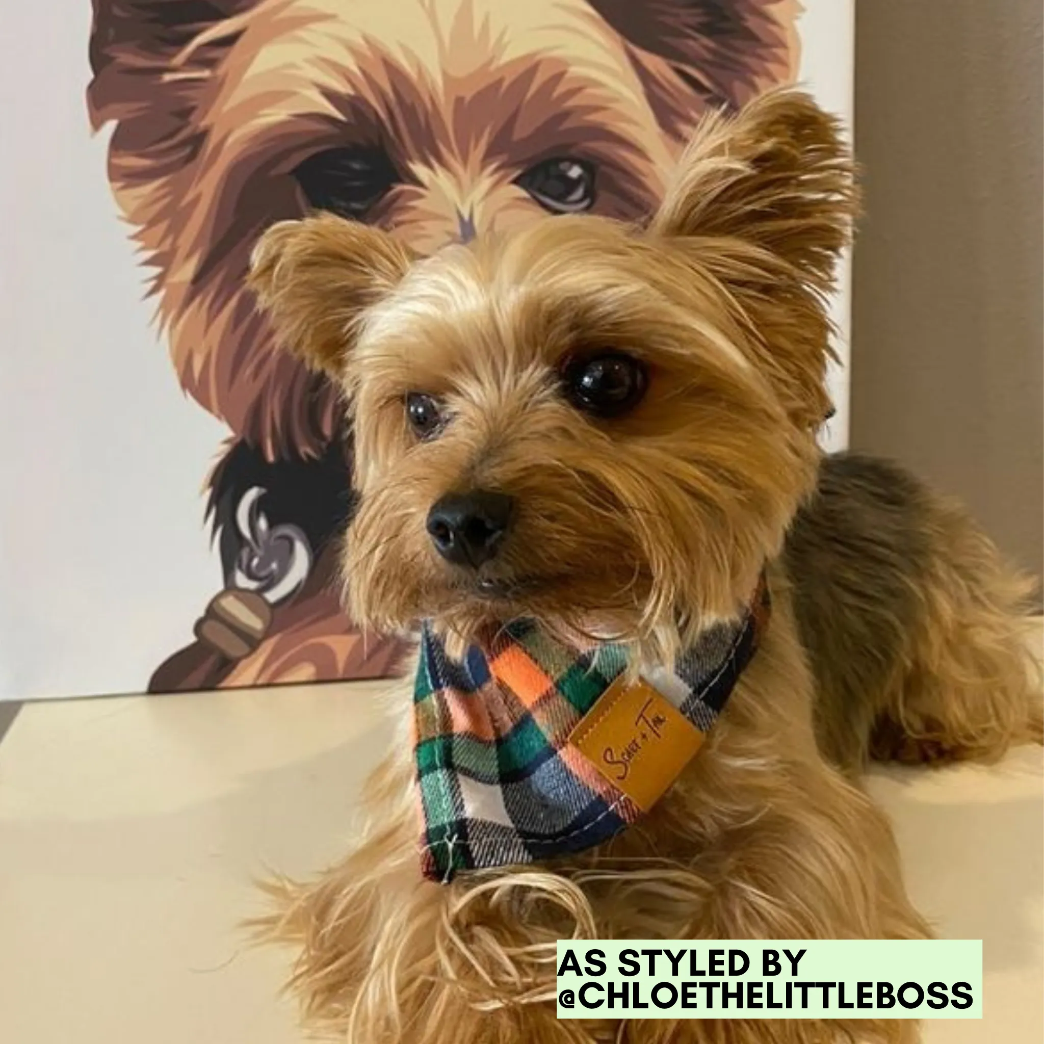 Ollie | Plaid Cotton